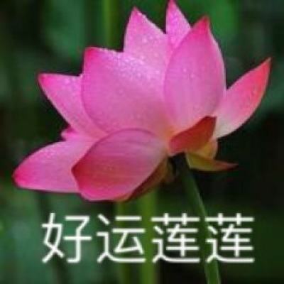 国台办回应民进党在花莲地震危急时刻不忘宣扬“台独”：“认知作战”的惯犯